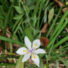 Cielu5
