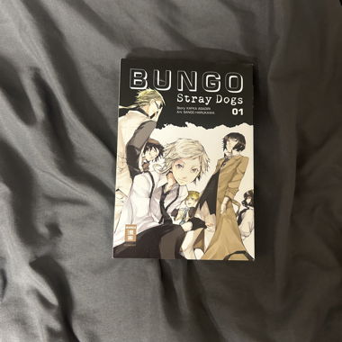 Bungo stray dogs Manga