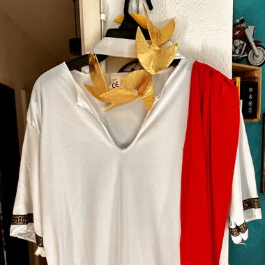 Carnival costume
