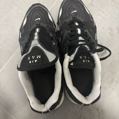 Nike Air Max sneakers