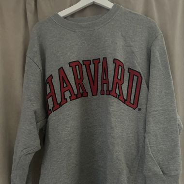 Zara Harvard Sweatshirt 