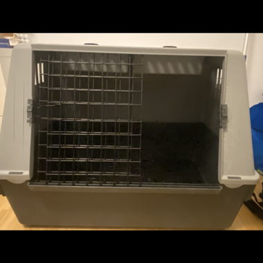 Grosse Hundebox