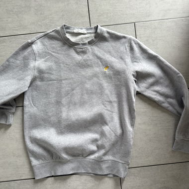 Maglione Felpa Grigio con Ricamo