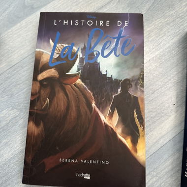 Book The Story of the Beast