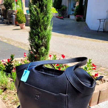 Borsa in pelle Caroll Paris Sacha