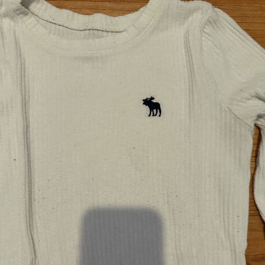 Hollister Langarm