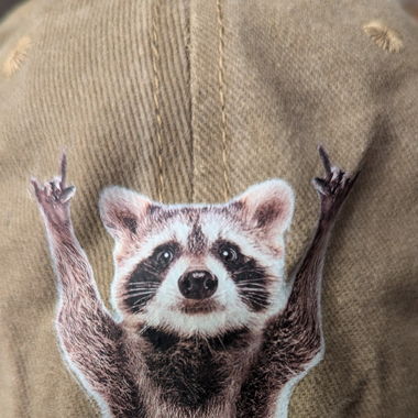 Raccoon cap
