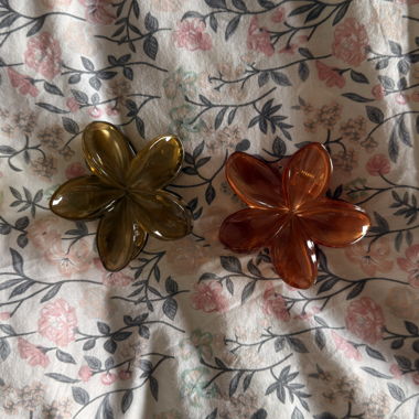 Set mit 2 Haarspangen mit Blumen