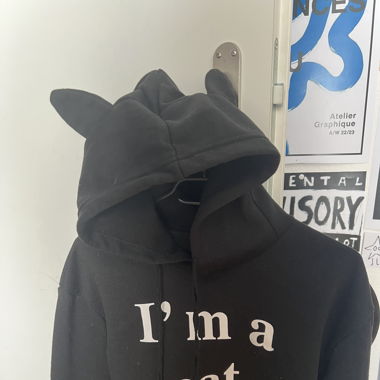 I’m a cat hoodie