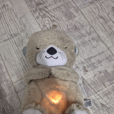Schlummer Otter
