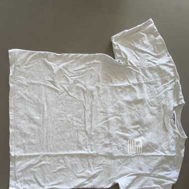 Carhartt T-shirt hellgrau mit Backprint