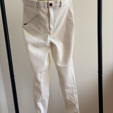 White Riding Breeches