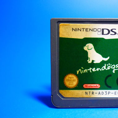 Nintendogs : Labrador & Friends - DS / R11719