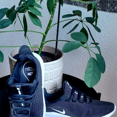 Nike Sneaker 