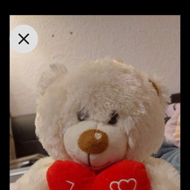 Teddybär mit I love you
