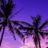 Jerry_