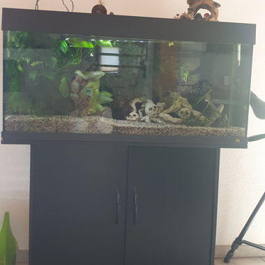 Aquarium