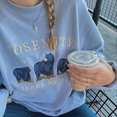 brandy melville yosemite sweater