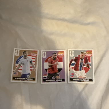 Panini