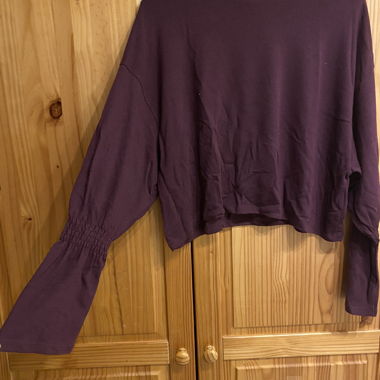 Zara Bordeaux Top