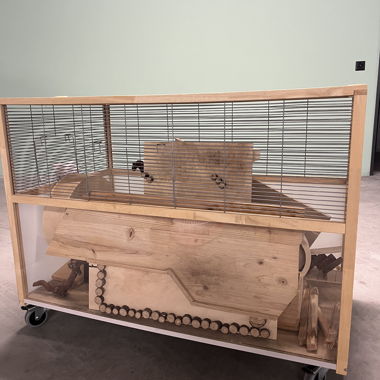 Hamsterkäfig auf Rollen