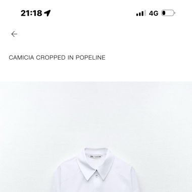 Zara shirt