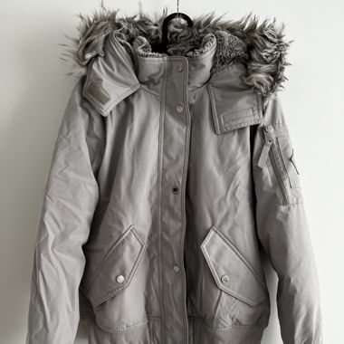 Veste Hollister grise