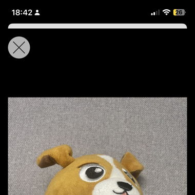 Peluche Cane
