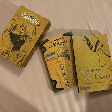 Le Roman de Kakashi et de Jiraya 