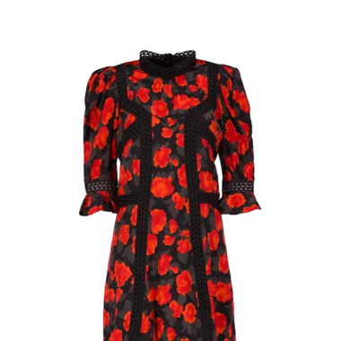 The Kooples Kleid Rosen