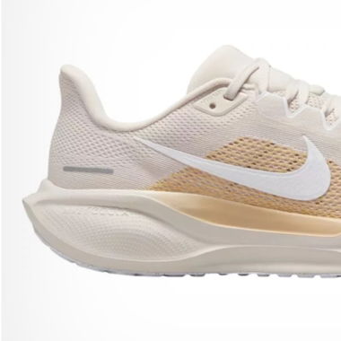 Nike pegasus 41