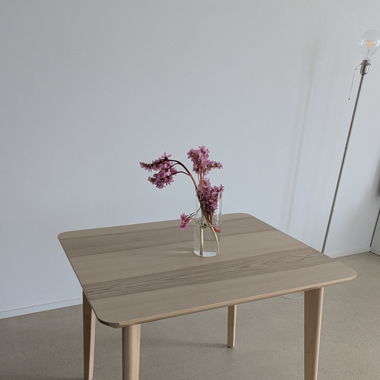  Küchentisch Ikea LISABO 88x78 cm