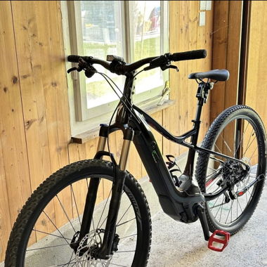 Specialized Levo E-Bike