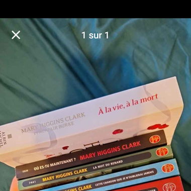 Lot livres Mary Higgins Clark