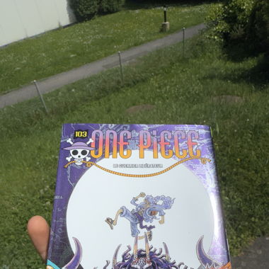One Piece tome 103 collector