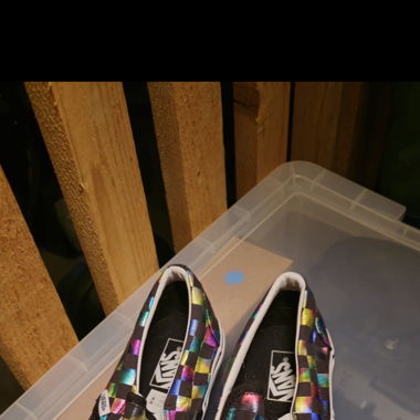 Vans slip on