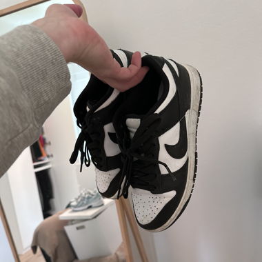 Dunk panda