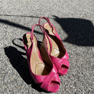 Talons rose
