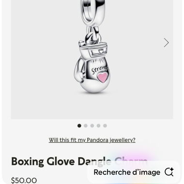 Pandora Charms