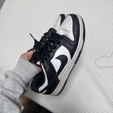 Nike Dunks Low