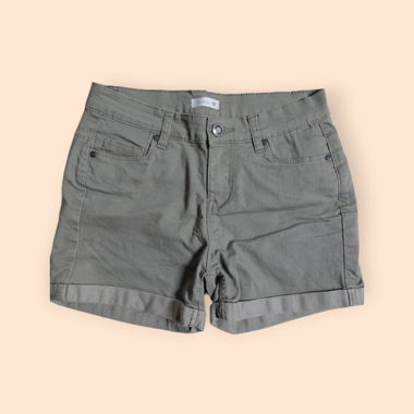 Chicorée Shorts Grau-Kaki