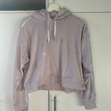 pinker champions pulli