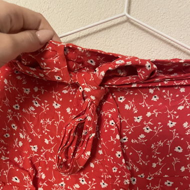 Zara Skirt (shorts inside)