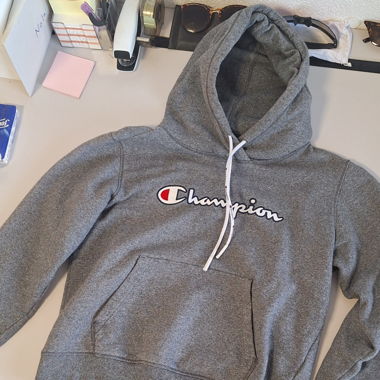 Champion Pullover