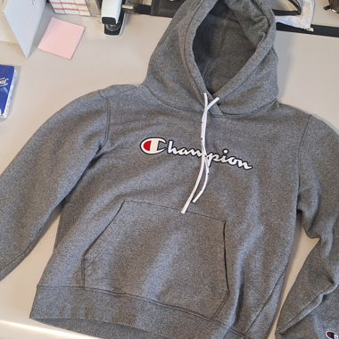 Champion Pullover
