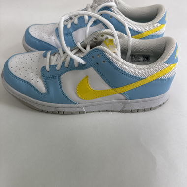 Nike Dunk Low sneakers
