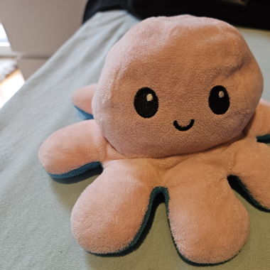 Oktopus-plüschi