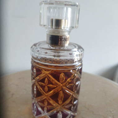 Florence Roberto Cavalli