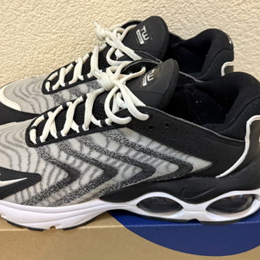 Nike TW Air Max Sneakers