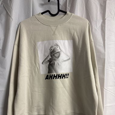 H&M Kermit-Pullover 